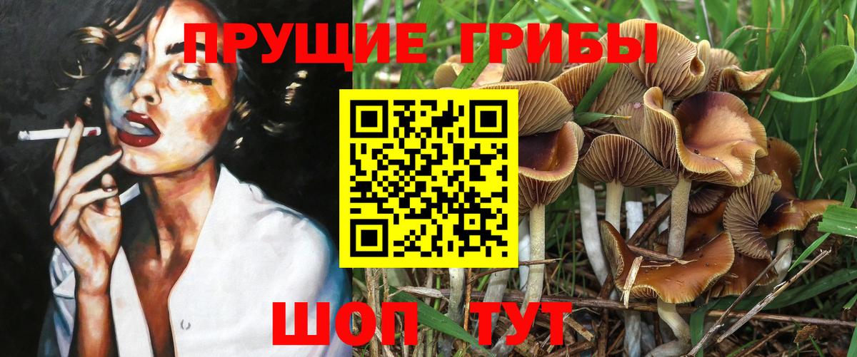 Псилоцибиновые грибы Magic Shrooms  Вход с VPN  купить закладку  Сорочинск 