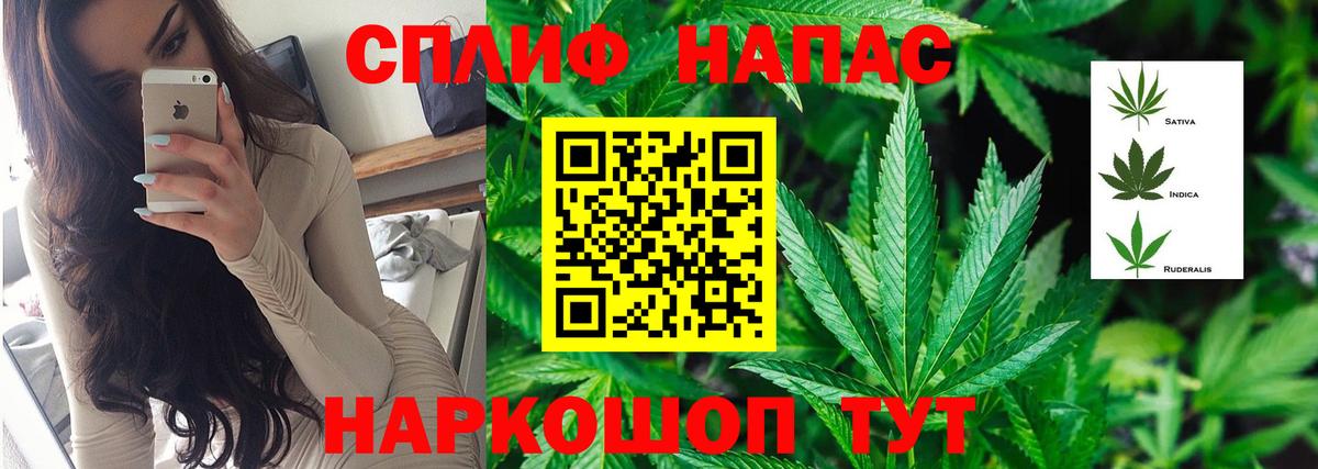 Канабис Ganja Сорочинск